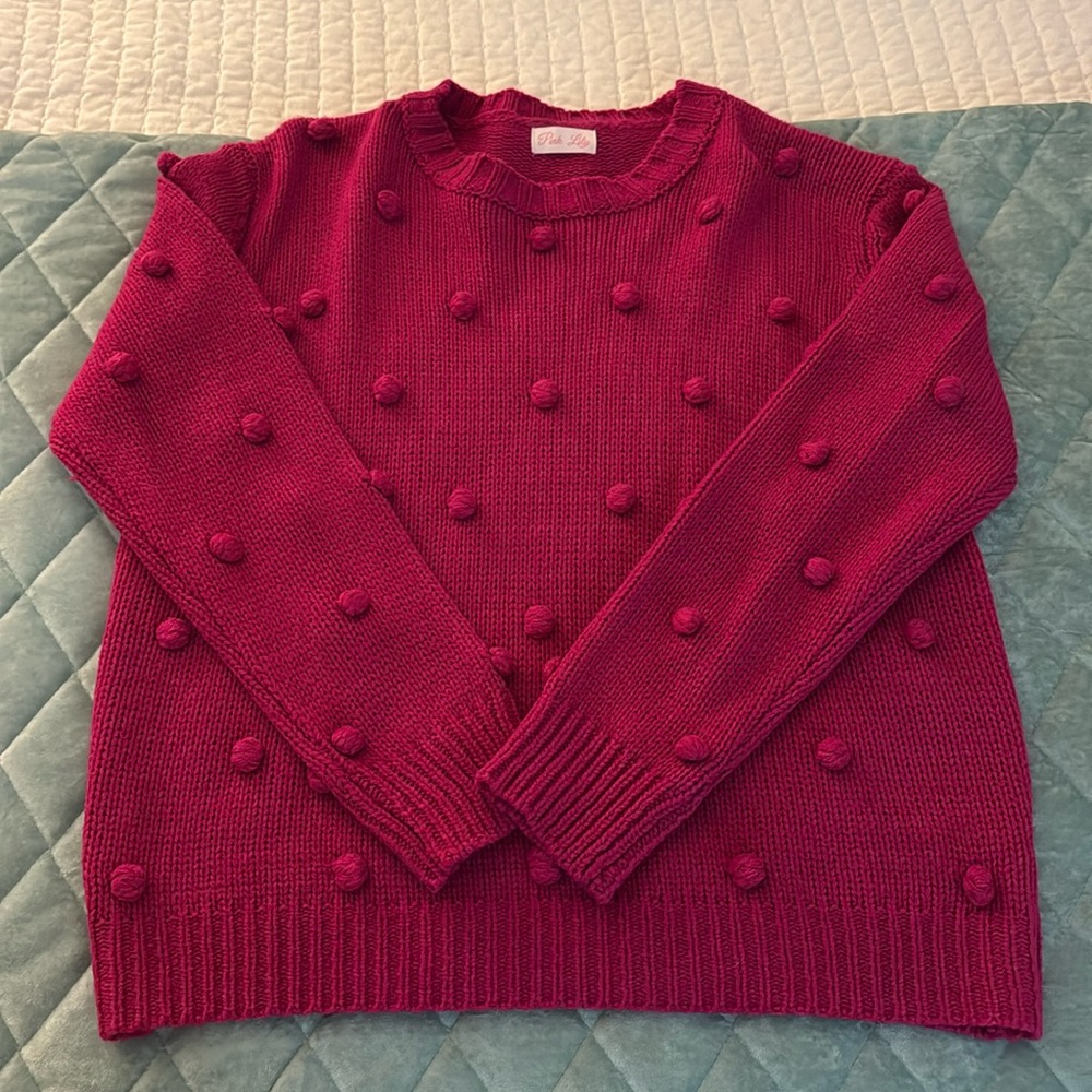 Pink Pom Pom Sweater NWOT